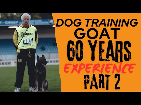 DOG TRAINER? WATCH THIS!! Helmut Raiser Part 2 German GOAT dog training Schutzhund Protection dog K9