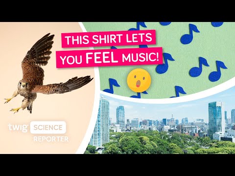 Here’s How You Can Feel Music on Your Skin!