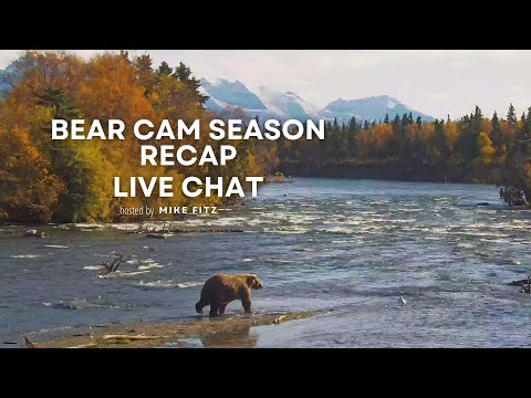 Bear Cam 2024 Season Recap | Brooks Live Chat