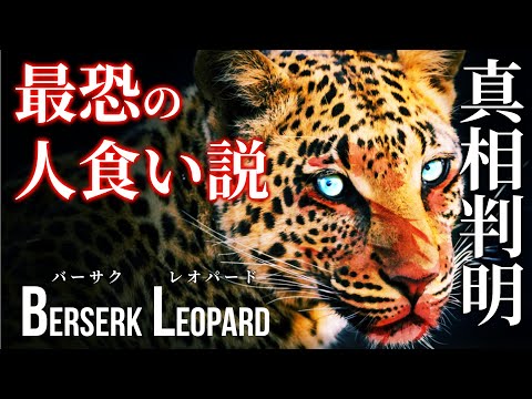 【前編】ベンガルトラ以上の危険性！？獣害事件“パナールの人食いヒョウ”の調査から判明した驚きの新事実