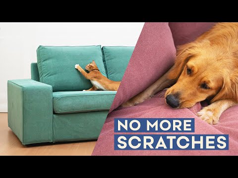 How To Make Your Sofa Dog & Cat PROOF: Velvet Covers Your Pet Can't DESTROY