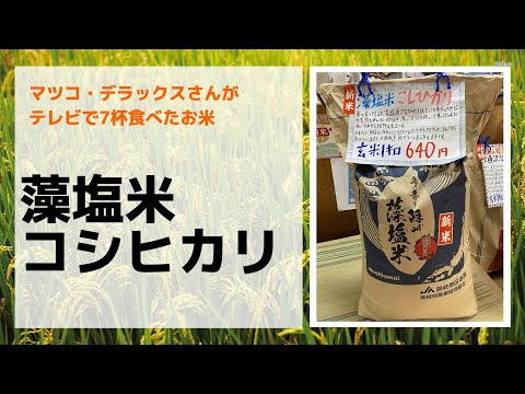 マツコ・デラックスさんが7杯食べたお米。藻塩米 コシヒカリ　岐阜市の美味しいお米屋　お米の熊田