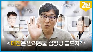 '한국수의심장협회'의 학술위원 이사가 된 박원장의 이야기👨🏻‍⚕️💉｜대전 반려동물 심장병 잘 보는 수의사?｜수의사로서 양심껏 말해보자면...!