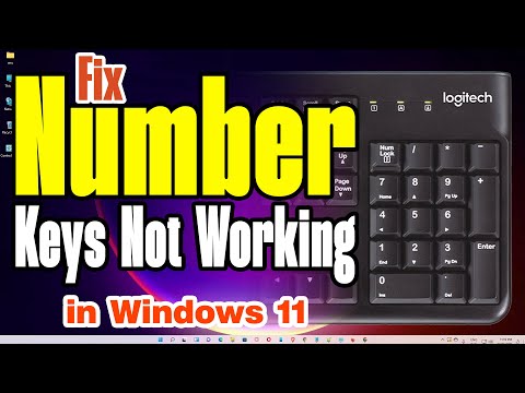 How to Fix Number Keys not Working in Windows 11 - One Simple Fix