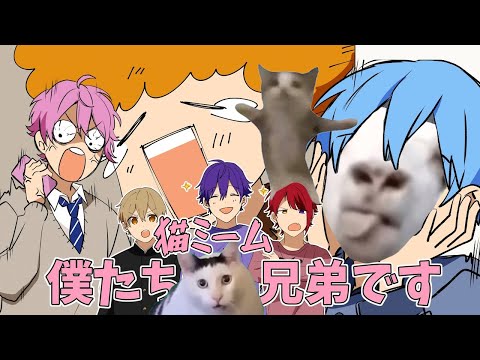 すとぷりが"あの有名な"猫ミームになっちゃった！？！？！【さとみくん】【すとぷり】【すとぷり切り抜き】【猫ミーム】