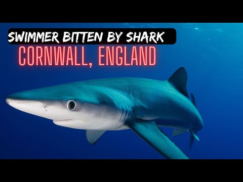 Cornwall, England SHARK ATTACK (This week!) • First in 175 years? 🦈