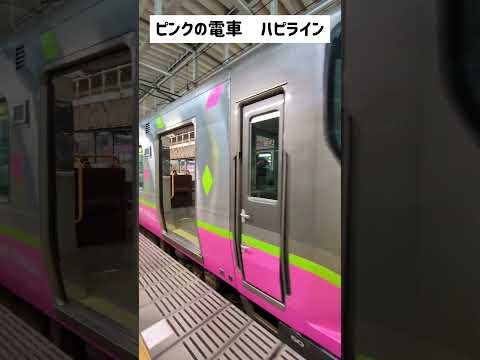 福井ハピライン 電車のカラーリングがニュースのeveryっぽいの気のせい？ただピンクが似てるってだけか。