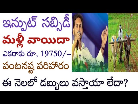 ఇన్పుట్ సబ్సిడీ డబ్బులు మళ్ళీ వాయిదా//ap input subsidy release date 2024//ap input subsidy status