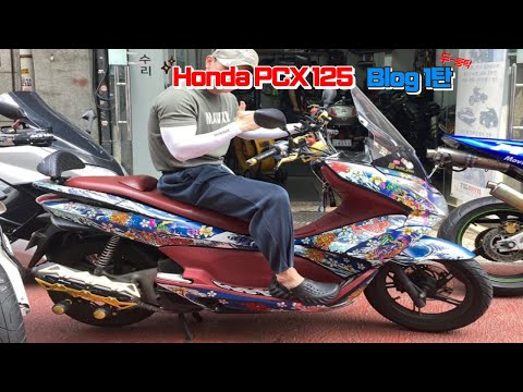 [BIKE]Honda PCX 125 / Blog / 낮바리 저배기량 바이크 모임 / 발로 차야 시동이 걸리는 바이크 / 1탄