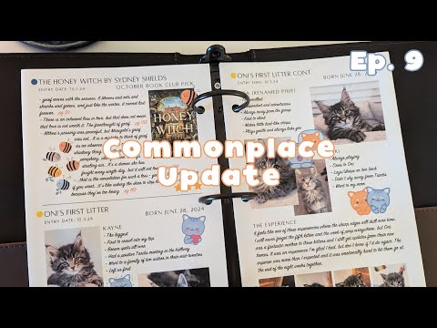 Why I Changed to a Digital Commonplace Book | Commonplace Update | Ep. 9