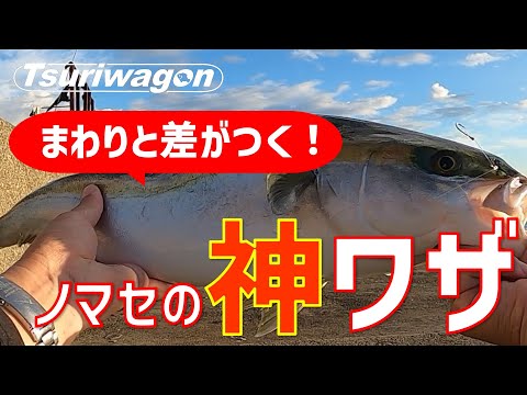 ノマセ釣りのコツを伝授します【泉佐野一文字・岸和田一文字】Blue-backed fish