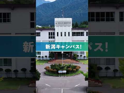 北里大学 健康科学部