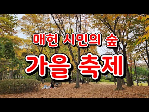 [교육다큐국] 매헌 시민의 숲 가을 축제 #가을축제 #볼거리 #공연