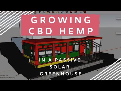 Growing CBD Hemp In a Passive Solar Greenhouse using  Permaculture