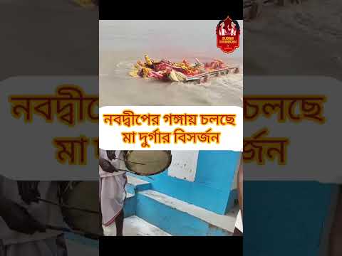 নবদ্বীপের গঙ্গায় চলছে মা দুর্গার বিসর্জন #shorts