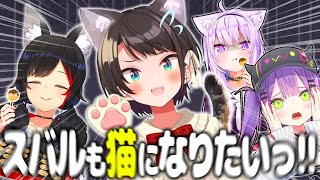 【まとめ】カオスすぎる常MOS『たこぱサバイバル』面白シーンまとめ【大空スバル/猫又おかゆ/大神ミオ/常闇トワ/ホロライブ切り抜き】