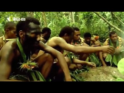 Nat Geo Wild Islands | Fiji (Nature History Documentary)