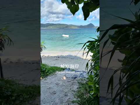 崎原海岸の朝：奄美大島の静寂と美しい風景 #奄美大島 #beach #travel