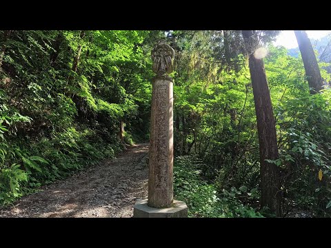 高尾山登山 完全収録動画 ＃2 Mt. Takao climbing complete video #2「高尾山6号路の全て」高尾山登山道 6号路 入り口からびわ滝を経て山頂まで 4K 60Fps