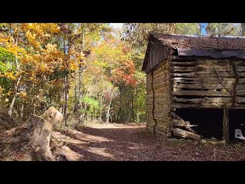 ASMR AUTUMN WALK 🍁🍂