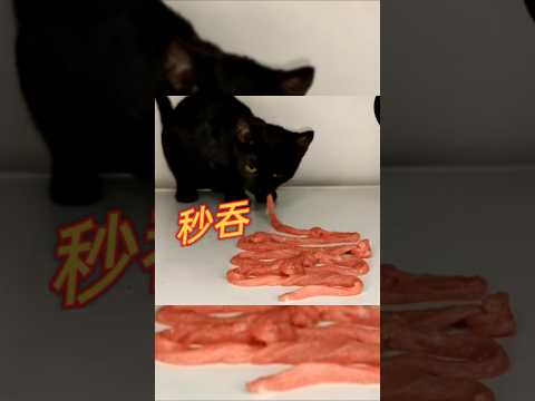 一口氣吞下超長生肉 #吃播 #cat #可愛 #美食 #貓 #貓咪 #短片 #貓主子 #貓奴 #萌系 #萌寵 #療癒 #可愛動物 #治癒系 #治癒小貓 #lovely #kitten