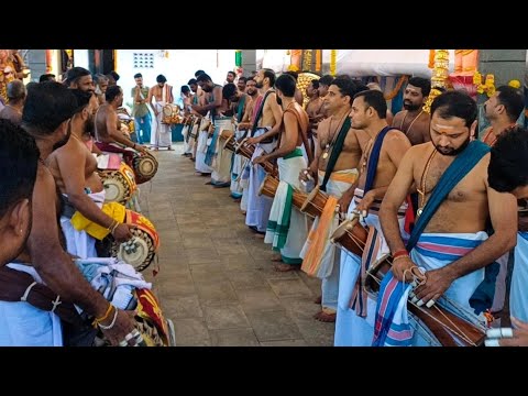 പാടൂർ മണ്ഡല വിളക്ക് പഞ്ചാവാദ്യം :- പതികാലം മുഖം,താളവട്ടം,തീര് - ഒറ്റപ്പാലം ഹരി.#panchavadyam.