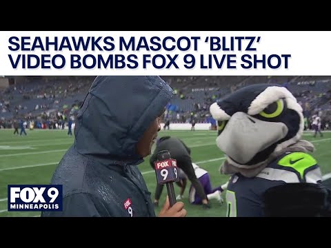 Seahawks mascot 'Blitz' tries to take over Vikings Gameday Live segement