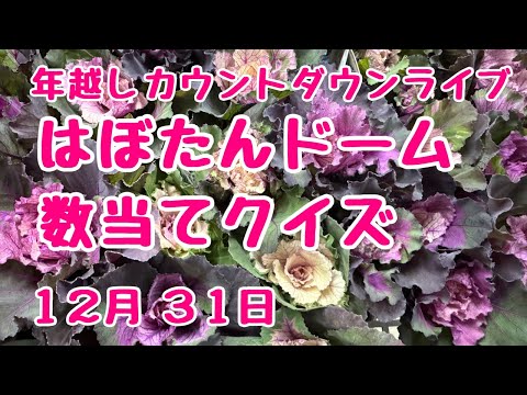 年越しカウントダウンライブ！葉牡丹ドーム数当てクイズ　2024年12月31日