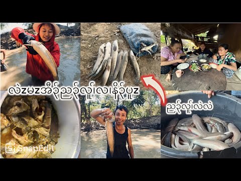 8/12/2024 Ti Klaw Di Poe doh mu catch a lot fish in the lake so fun fish from kaw thoo lei