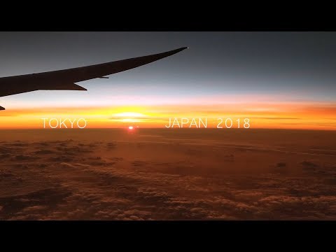 Japan Vlog Part 1/2