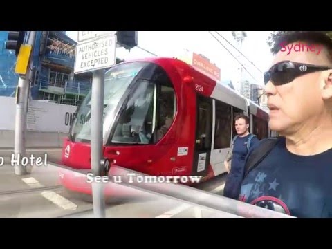 osc Fish Market & Paddy Market Sydney 2016