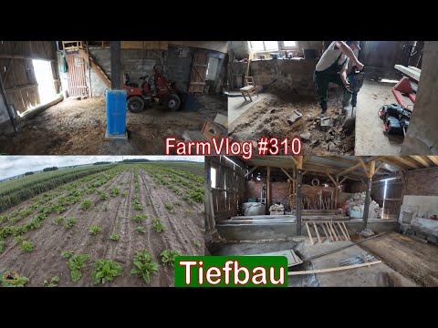 Farmvlog #310: Tiefbau und betonieren