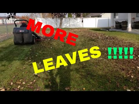 Exmark Lazer Z Leaf Clean up