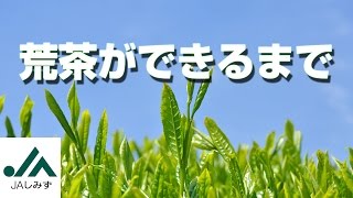 荒茶ができるまで（静岡市清水区のお茶）