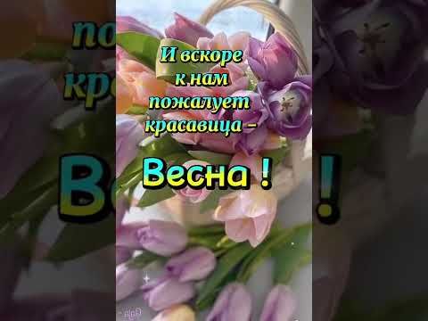 Доброе утро! Хорошего дня и прекрасного настроения!