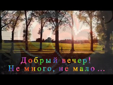 Добрый вечер! Не много, не мало…