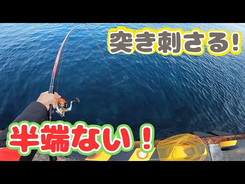 【神津島釣行】　離島遠征のフカセ釣り。爆風で湾奥の釣りになったが、ファイアブラッドをバットから曲げる魚❗️