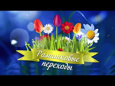 Ах, ромашка белая Переходы для Proshow Producer