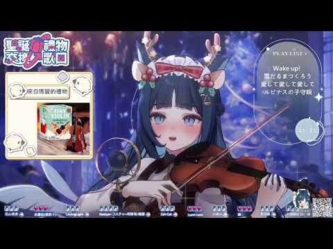 𝟎𝟖-插播｜ルピナスの子守唄 • MAHO堂｜祈Iruni