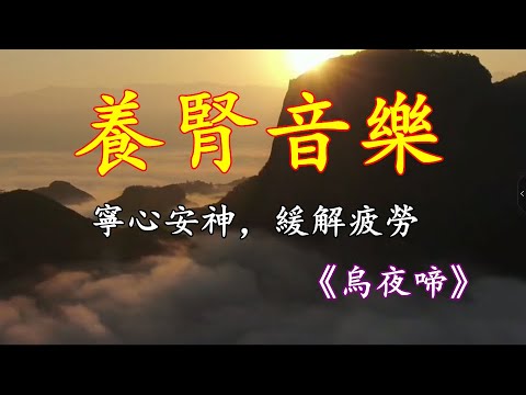 古琴音藥｜寧心淨腦，緩解疲勞，提高記憶力《烏夜啼》！