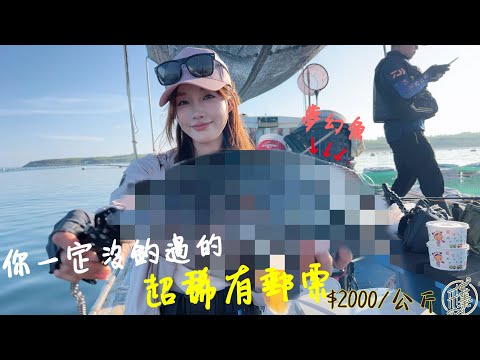 【釣魚日記】澎湖箱網旁邊有怪物是真的！...釣一隻救全家的概念...最適合釣魚的民宿...fishing｜采蓁 Patti