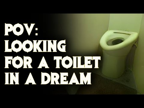 POV: You're In A Dream Looking For A Toilet