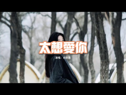 向思思 - 太想愛你『太想愛你是我壓抑不了的念頭，想要全面占領你的喜怒哀愁。』【動態歌詞MV】