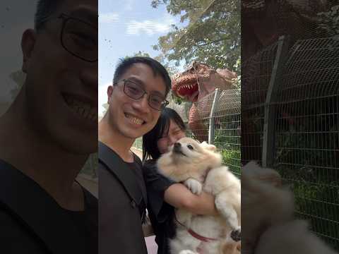 Visiting "Hub & Spoke Cafe" at Changi Airport and Jurassic Mile! Pet-Friendly!! || 光临樟宜机场的狗狗友好咖啡厅!!