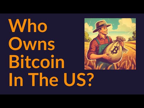 Who Owns Bitcoin In The US?