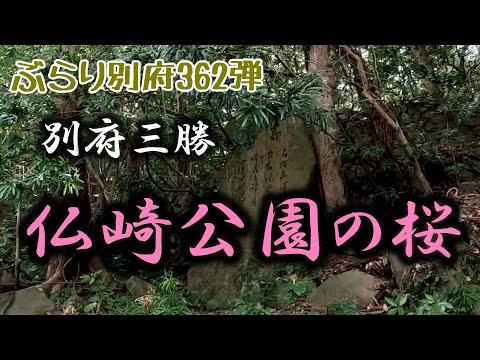 【ぶらり別府362】別府三勝　仏崎公園の桜　BEPPU