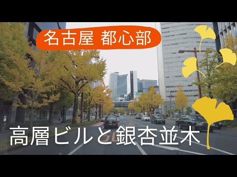 秋の紅葉スポット 名古屋都心の高層ビルと銀杏並木を車窓から紅葉狩り　桜通を名古屋駅から久屋大通まで進み、広小路通を栄から伏見、笹島交差点まで走行