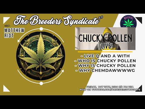 WHO IS CHUCKY POLLEN - LIVE STREAM Q and A Part 1