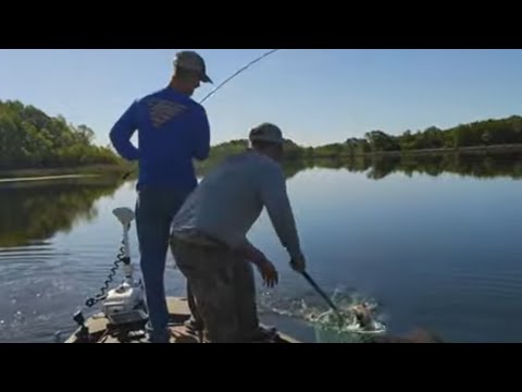 Bed Fishing Santee Cooper | 4-14 -24 | LIVE STREAM