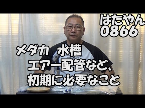 メダカの水槽　エアー配管など初期に必要な工作（再放送　はたやんドットコムメダカ）